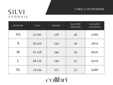 SILVI