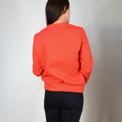 bluza _ dresówka miś bluza _ dresówka miś